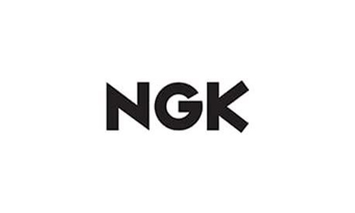 nkg