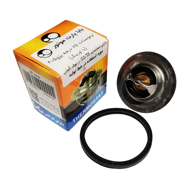 photo_2025-05-18_16-57-03_11zon