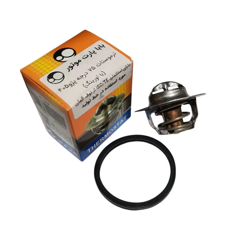 photo_2025-05-18_16-57-06_11zon